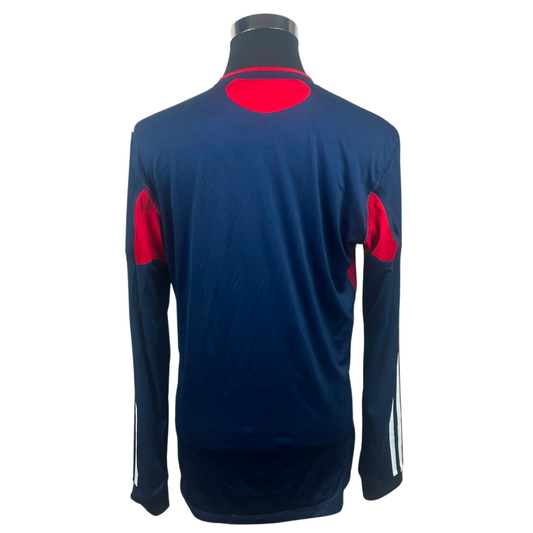 2010/11 Olympique Lyonnais Europe